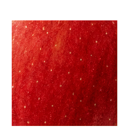 Apples — surface study