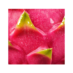 Dragon Fruit — surface study