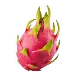 Dragon Fruit natural form