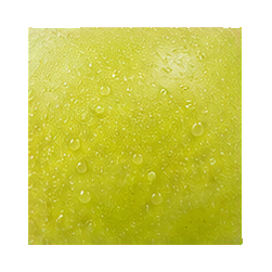 Grapes — surface study