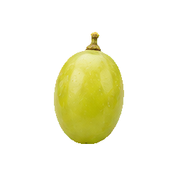 Grapes — prepared half