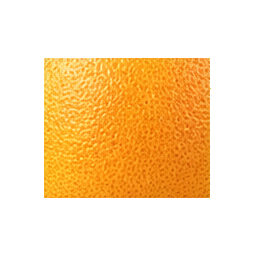 Grapefruit — surface study