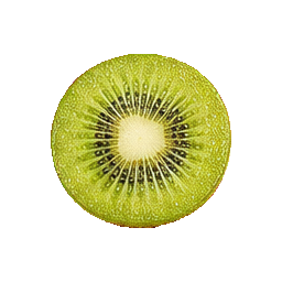 Kiwis — botanical detail