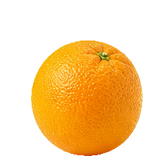 Oranges natural form