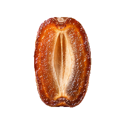 Wet Dates — serving detail