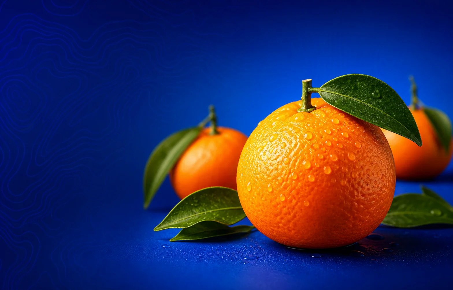 Premium mandarin presented in a dark blue studio setting